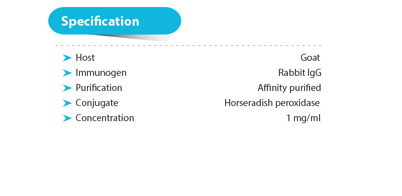 Goat anti-Rabbit IgG(H+L)-HRP, 1mg/ml