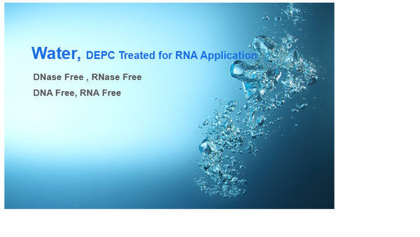 Water, DEPC Treated For RNA application
