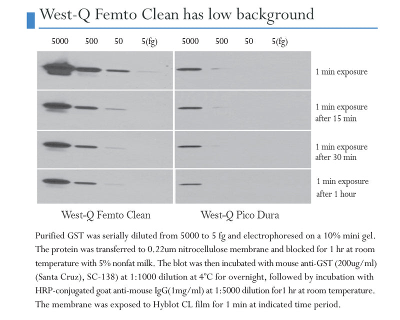 West-Q Femto Clean ECL Solution 100ml