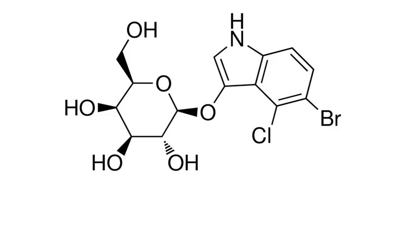 X-Gal, 5-Bromo-4-chloro-3-indolyl β-D-galactopyranoside